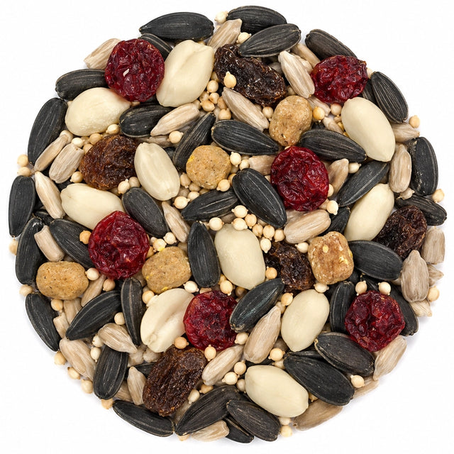 Duncraft Very Berry Blend Wild Bird Seed, 5-lb bag. A mix of nuts, seeds, and dried berries designed to attract fruit-eating birds and provide essential nutrients.