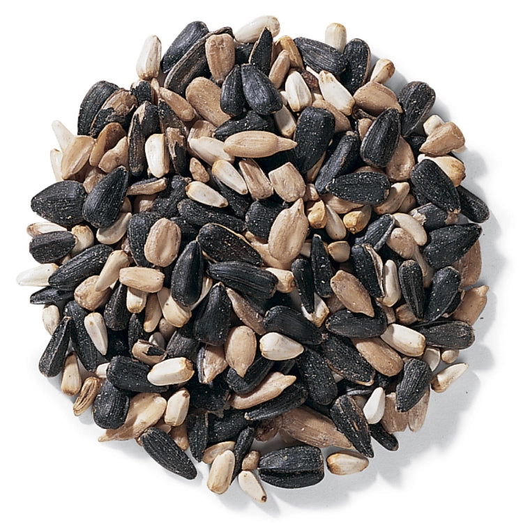 Duncraft Cardinal Delight Wild Bird Seed, 5-lb bag, featuring a mix of black oil sunflower seeds, safflower seeds, and sunflower hearts, ideal for attracting cardinals.