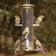 Aspects Antique Brass 6 Port Finch Tube Feeder with finches feeding on multiple perches, showcasing its durable metal build and clearview plastic tube.