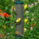 Quick Clean Spruce Finch Mesh Bird Feeder with yellow finches perched on wire mesh, designed for easy cleanout and efficient seed consumption.