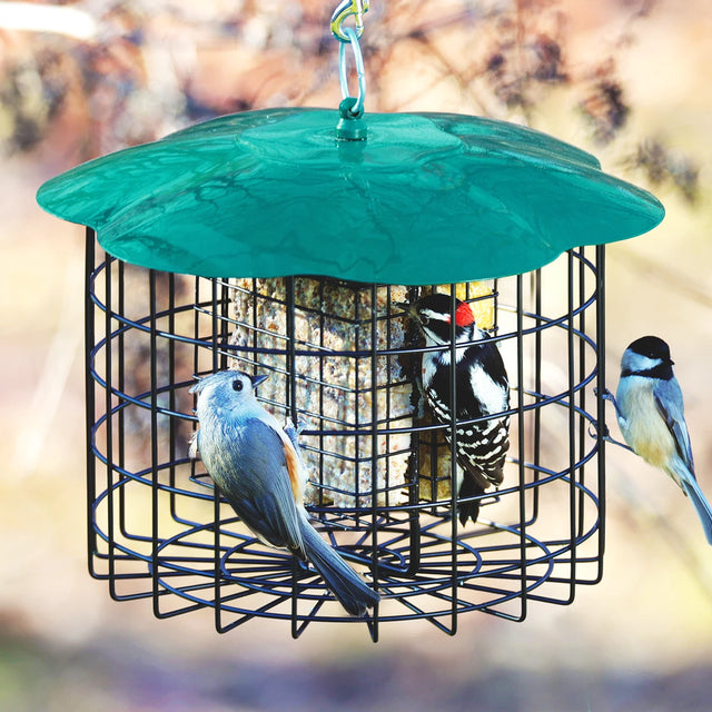 Squirrel Defeater Double Suet Cage Feeder with a green roof, black wire cage, and small birds feeding, designed to deter squirrels and hold two suet cakes.