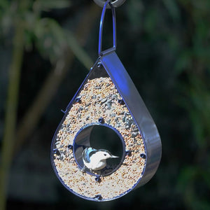 Teardrop Fly-Thru Bird Feeder, Red, with a white-breasted nuthatch inside, surrounded by mixed seeds, hanging outdoors. Durable design with easy-fill side panel.