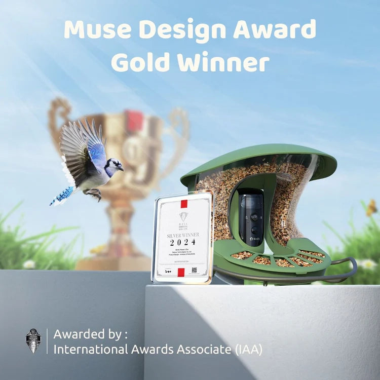 Birdfy Bird Feeder 2 Pro with Camera features a moss-green design, embedded camera, award certificate, and a blue jay feeding.