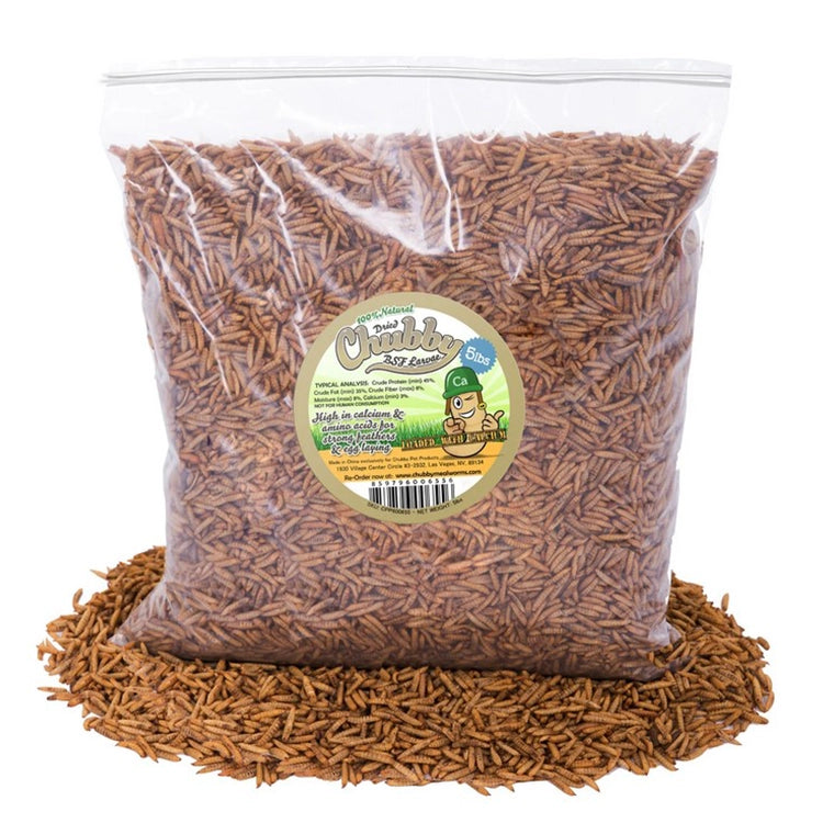 Chubby Dried Black Soldier Fly Larvae, 5-lb. Bag, high-protein treat for birds and wildlife, in a resealable bag, ideal for easy storage and feeding.
