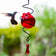 Droplet Spiral on a Hook Hummingbird Feeder, Red, features a spherical design with a flower-shaped port, hanging from a black spiral, ideal for attracting hummingbirds.