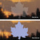 Duncraft Bird-Safe® Maple Leaf Window Strike Decals, set of 6, showing close-up and silhouette images of translucent leaf shapes designed to prevent bird collisions.
