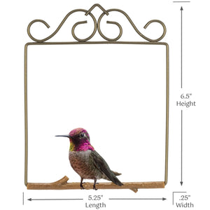 Decorative metal frame with a hummingbird illustration and dimensions on a white background