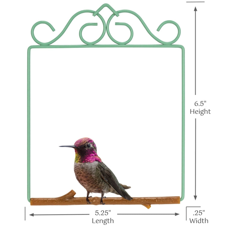 Decorative metal frame with a hummingbird illustration and dimensions on a white background