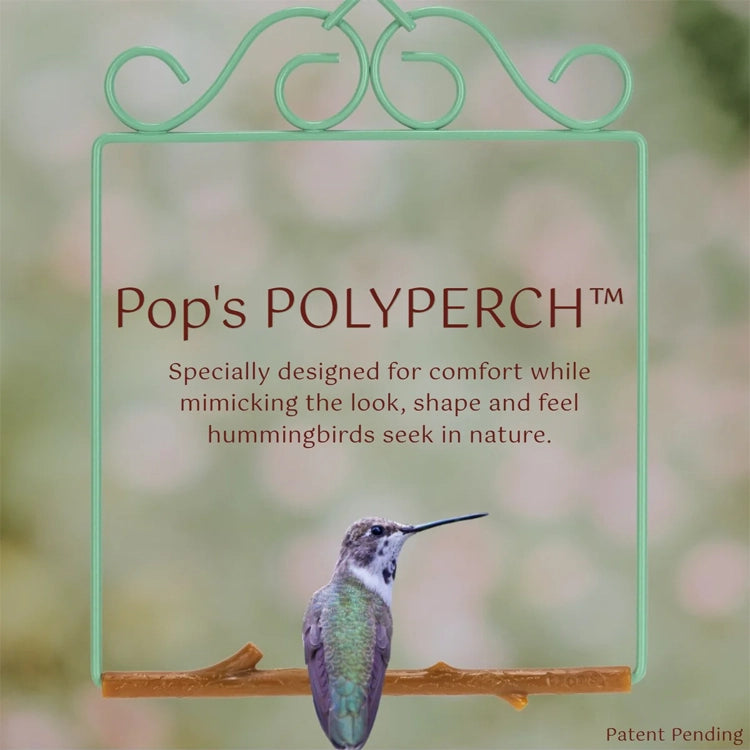Hummingbird perched on a branch with 'Pop's POLYPERCH' branding and text.