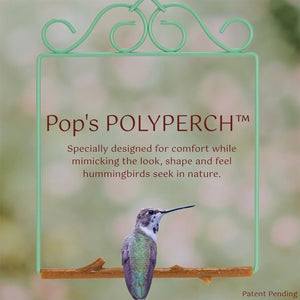 Hummingbird perched on a branch with 'Pop's POLYPERCH' branding and text.