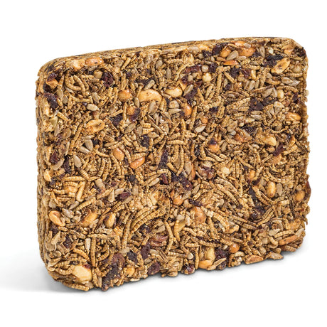 Mealworm Banquet Large Seed Cake, a compressed block with dried mealworms, seeds, nuts, and cranberries, ideal for feeding wild birds and supporting high energy levels.