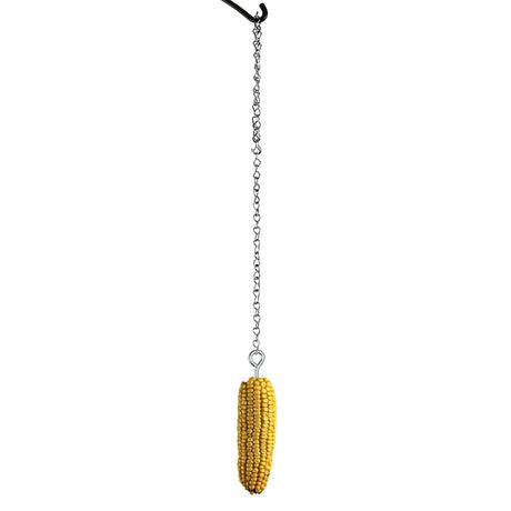 Whole ear of corn suspended from a hanging chain, providing a natural feeding station for squirrels and larger backyard birds.