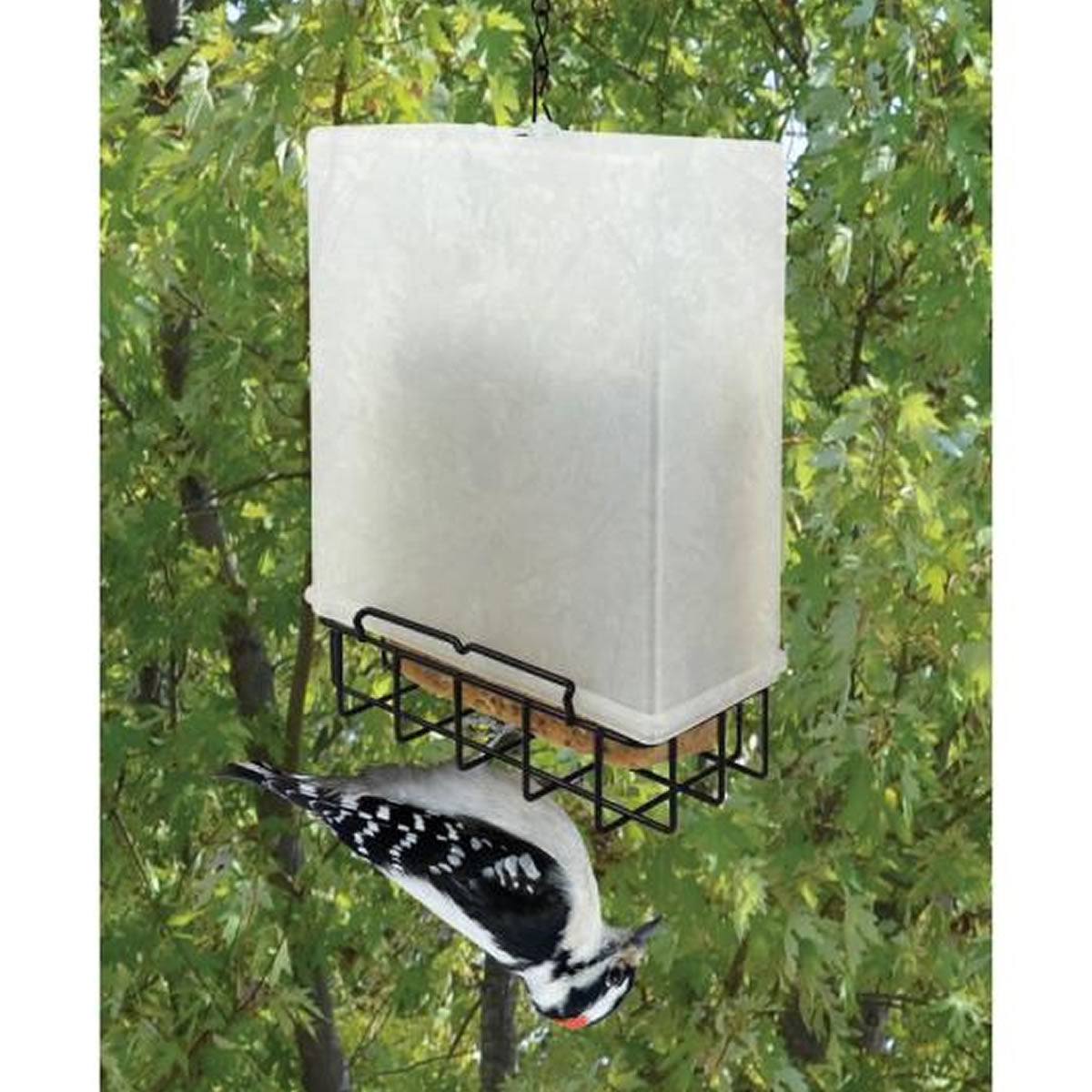 Suet Saver Feeder with a plastic rain-cover, showcasing a woodpecker feeding upside down, designed to attract desirable birds while deterring others.