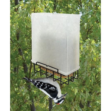 Suet Saver Feeder with a plastic rain-cover, showcasing a woodpecker feeding upside down, designed to attract desirable birds while deterring others.
