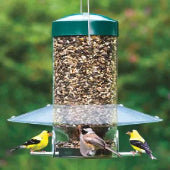All Bird Feeders