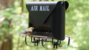Absolute Squirrel-Resistant Air Mail Bird Feeder