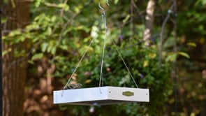 Duncraft Classic Bird Safe Platform Bird Feeder, White