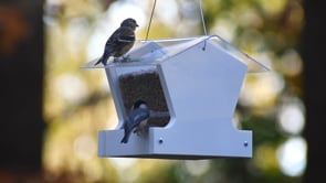 Duncraft Heritage Hopper Bird Feeder, White